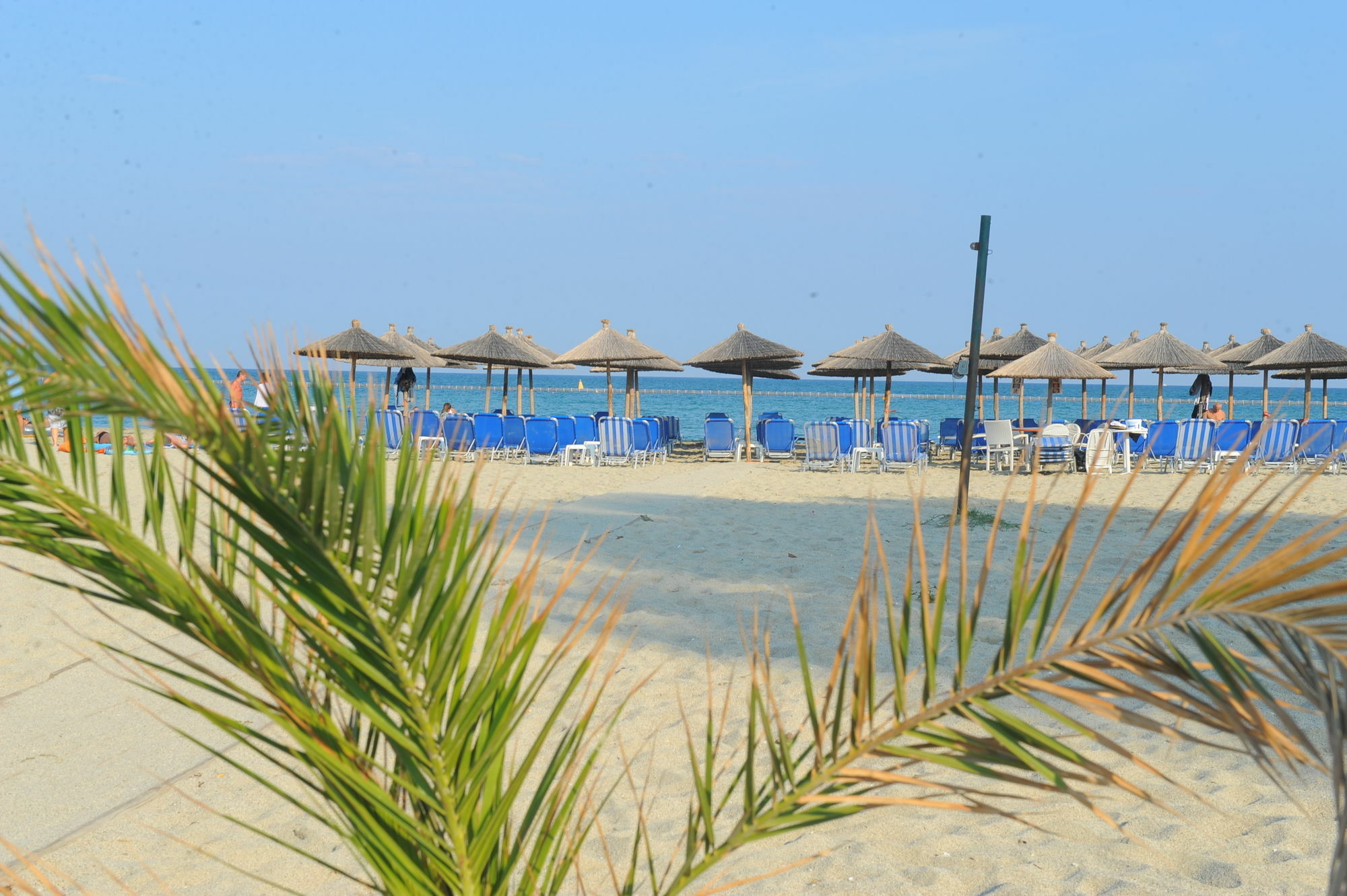 Hotel Platon Beach Olympiakí Aktí Esterno foto